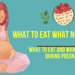 what to eat and not during pregnancy meal plan