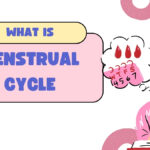 what is a menstrual cycle